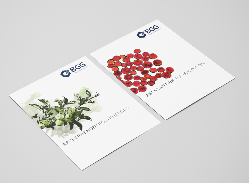 bgg_brochure
