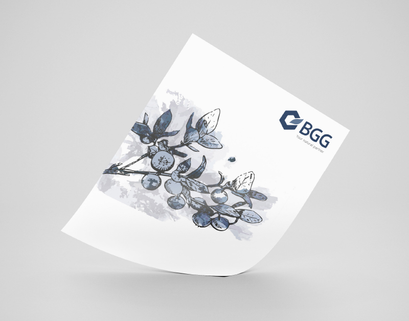 bgg_leaflet
