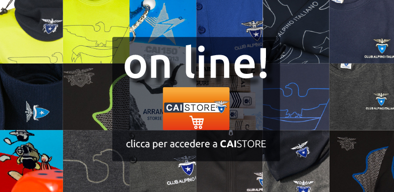 caistore_online