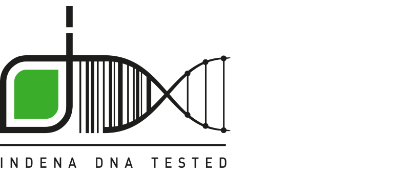 indena_dna_1