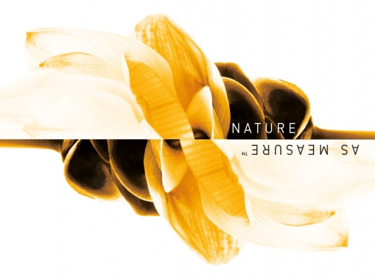 Indena_Vitafood